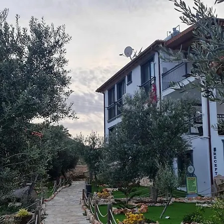 Doganin Ruhu & * Kaş