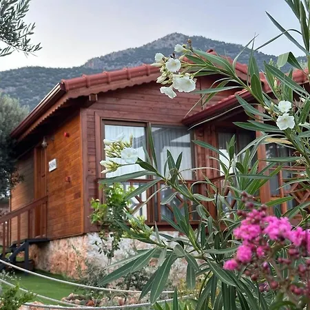 Doganin Ruhu & Bungalow בית נופש קס