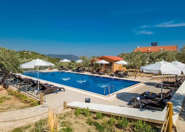 Doganin Ruhu & 펜션 *