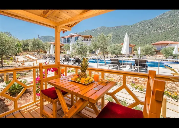 Doganin Ruhu & 카스