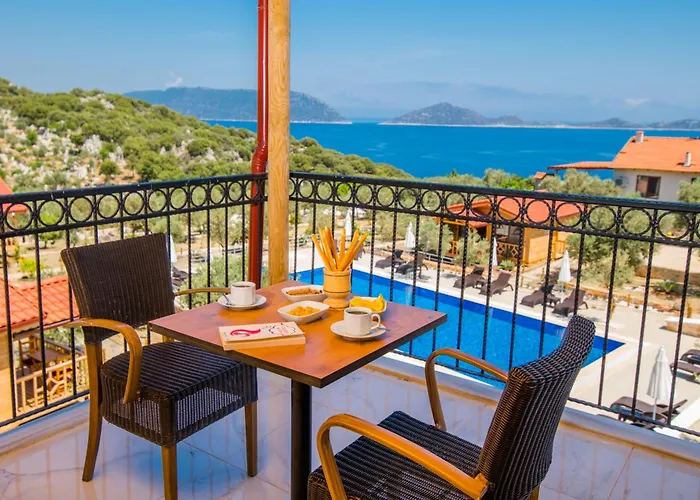 Doganin Ruhu & * 카스