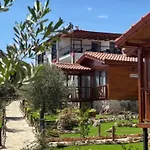 Doganin Ruhu &