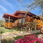 Doganin Ruhu &