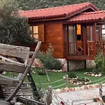 Doganin Ruhu &
