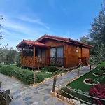 Doganin Ruhu &