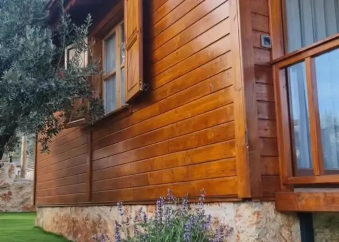 Feriehus Doganin Ruhu & *