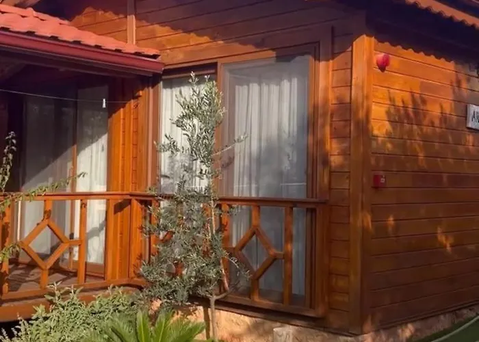 Doganin Ruhu & * Kaş